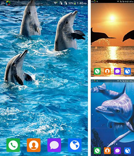 Además de fondo de pantalla animados Camaleón 3D para teléfonos y tabletas Android, también puedes descargarte gratis Lovely dolphin.