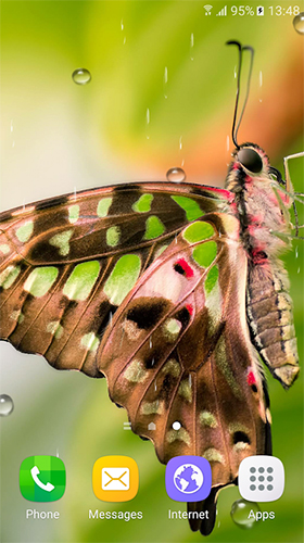 Macro butterflies - бесплатно скачать живые обои на Андроид телефон или планшет.