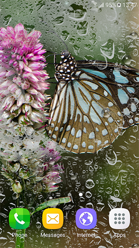 Macro butterflies - скачати безкоштовно живі шпалери для Андроїд на робочий стіл.