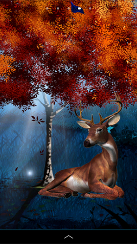 Screenshots of the Magic forest by Amax LWPS for Android tablet, phone.