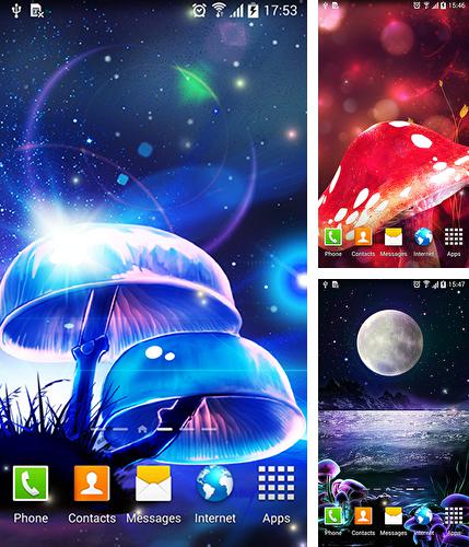 Kostenloses Android-Live Wallpaper Magischer Pilz. Vollversion der Android-apk-App Magic mushroom für Tablets und Telefone.