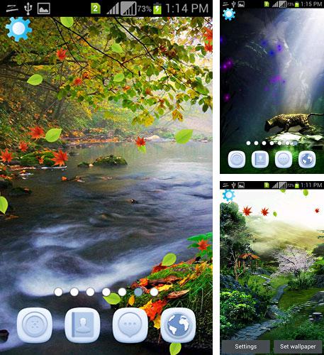 In addition to live wallpaper Romantic for Android phones and tablets, you can also download Magic nature for free.