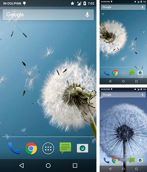 Kostenloses Android-Live Wallpaper Magische Neonwelle: Pusteblume. Vollversion der Android-apk-App Magic neo wave: Dandelion für Tablets und Telefone.