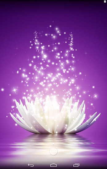 Magic water lilies - безкоштовно скачати живі шпалери на Андроїд телефон або планшет.