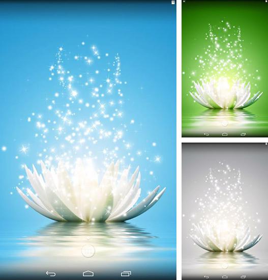 Додатково до живої шпалери Бузкові квіти для Android телефонів та планшетів, Ви можете також безкоштовно скачати Magic water lilies.