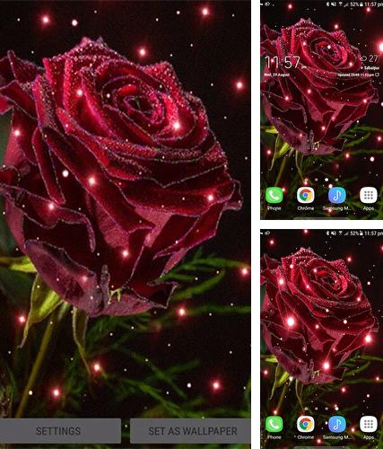 Kostenloses Android-Live Wallpaper Magische Rose. Vollversion der Android-apk-App Magical rose für Tablets und Telefone.