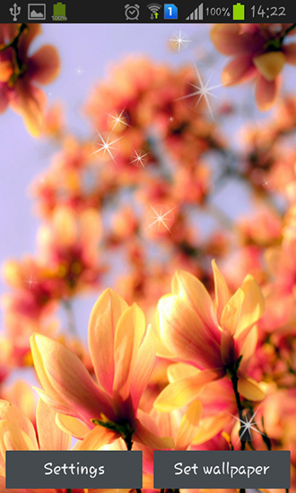 Kostenloses Android-Live Wallpaper Magnolia. Vollversion der Android-apk-App Magnolia für Tablets und Telefone.