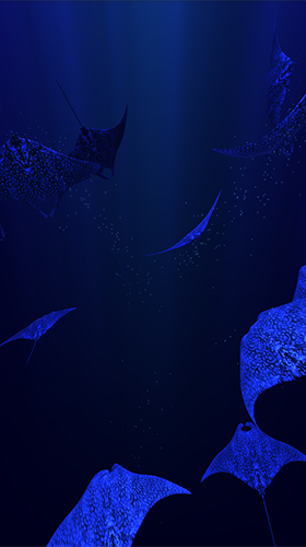 Download livewallpaper Mantaray for Android. Get full version of Android apk livewallpaper Mantaray for tablet and phone.