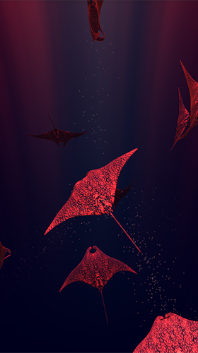 Screenshots of the Mantaray for Android tablet, phone.
