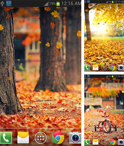 Baixe o papeis de parede animados Maple leaf by live wallpaper HongKong para Android gratuitamente. Obtenha a versao completa do aplicativo apk para Android Maple leaf by live wallpaper HongKong para tablet e celular.