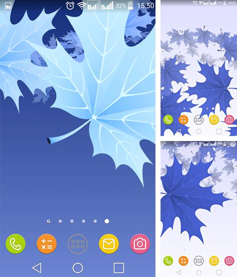 Télécharger le fond d'écran animé gratuit Feuilles d'érable . Obtenir la version complète app apk Android Maple Leaves pour tablette et téléphone.