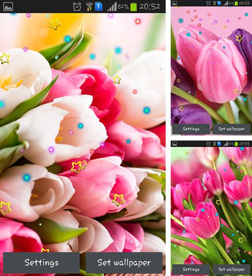 In addition to live wallpaper Autumn mushrooms for Android phones and tablets, you can also download March 8 for free.