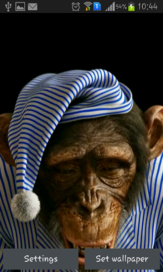 Screenshots of the Monkey 3D for Android tablet, phone.