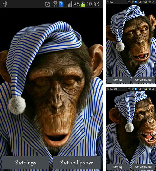 Monkey 3D - бесплатно скачать живые обои на Андроид телефон или планшет.