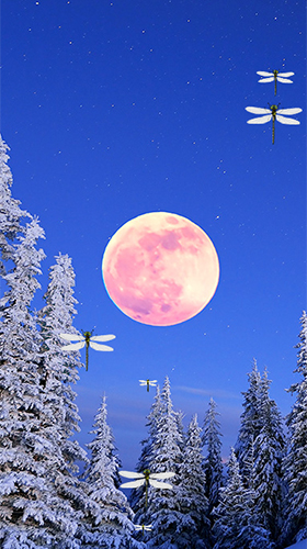 Moonlight by Fantastic Live Wallpapers - бесплатно скачать живые обои на Андроид телефон или планшет.