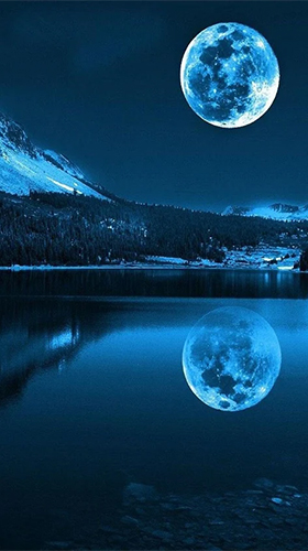 Download Moonlight by Happy live wallpapers - livewallpaper for Android. Moonlight by Happy live wallpapers apk - free download.