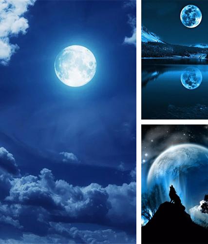 Moonlight by Happy live wallpapers - бесплатно скачать живые обои на Андроид телефон или планшет.