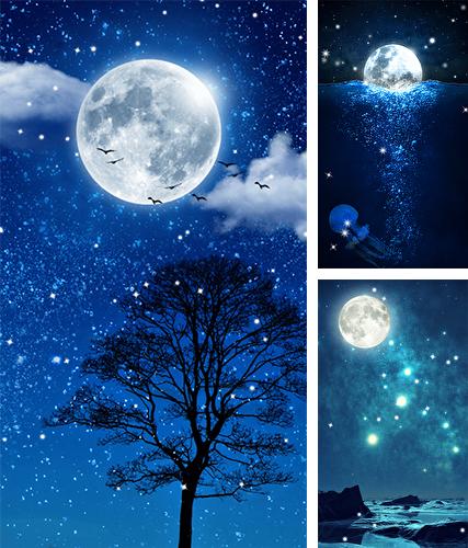 Download live wallpaper Moonlight by Thalia Spiele und Anwendungen for Android. Get full version of Android apk livewallpaper Moonlight by Thalia Spiele und Anwendungen for tablet and phone.