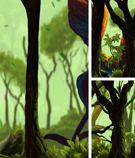 Télécharger le fond d'écran animé gratuit Forêts couvrtes de mousse  . Obtenir la version complète app apk Android Mossy Forest pour tablette et téléphone.