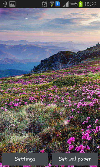 Download Mountain flower - livewallpaper for Android. Mountain flower apk - free download.