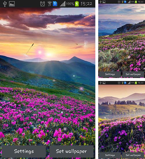 Kostenloses Android-Live Wallpaper Bergblumen. Vollversion der Android-apk-App Mountain flower für Tablets und Telefone.