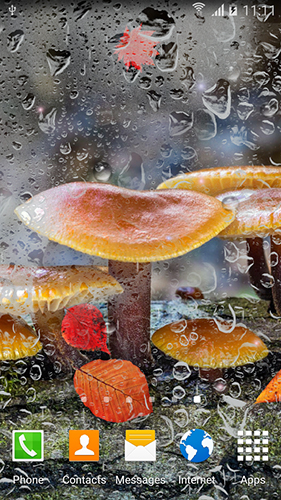 Mushrooms by BlackBird Wallpapers - скріншот живих шпалер для Android.
