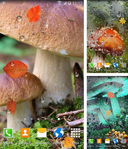 Дополнительно к живым обоям на Андроид телефоны и планшеты Магнолия, вы можете также бесплатно скачать заставку Mushrooms by BlackBird Wallpapers.