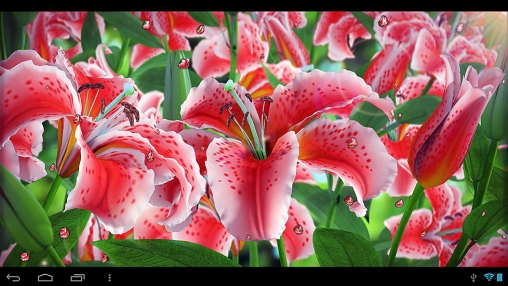 Download livewallpaper My flower for Android. Get full version of Android apk livewallpaper My flower for tablet and phone.
