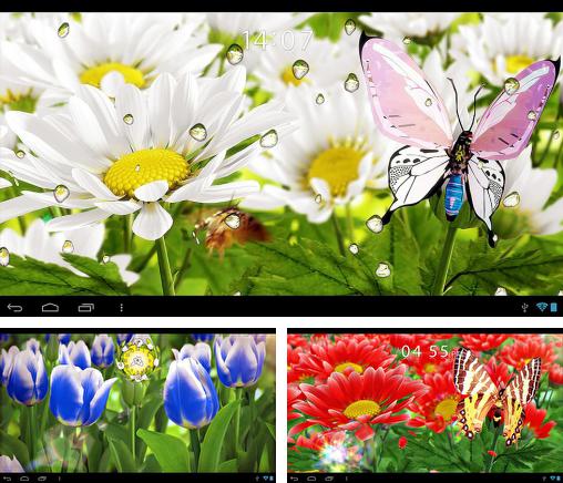 Télécharger le fond d'écran animé gratuit Ma fleur  . Obtenir la version complète app apk Android My flower pour tablette et téléphone.