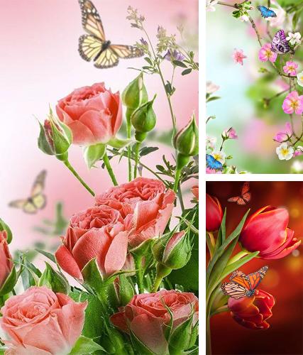 Download live wallpaper Natural flowers for Android. Get full version of Android apk livewallpaper Natural flowers for tablet and phone.