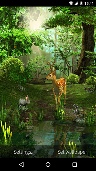 Nature 3D live wallpaper for Android. Nature 3D free download for tablet  and phone.