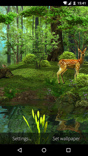 Télécharger le fond d'écran animé gratuit Nature 3D. Obtenir la version complète app apk Android Nature 3D pour tablette et téléphone.