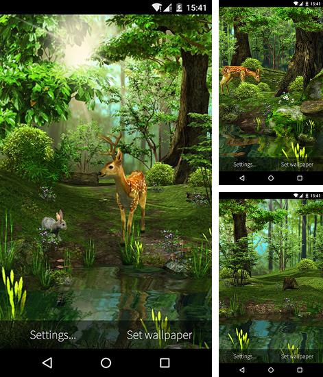 Kostenloses Android-Live Wallpaper Natur 3D. Vollversion der Android-apk-App Nature 3D für Tablets und Telefone.