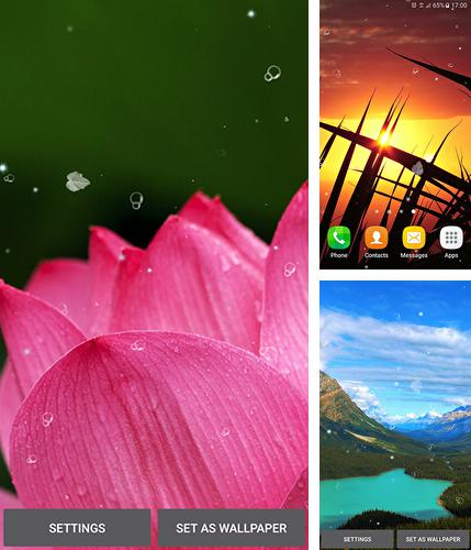 In addition to live wallpaper Firefly forest for Android phones and tablets, you can also download Nature by Top Live Wallpapers for free.
