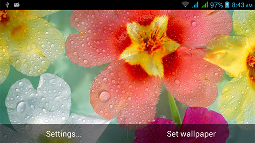 Screenshots of the Nature HD by Live Wallpapers Ltd. for Android tablet, phone.
