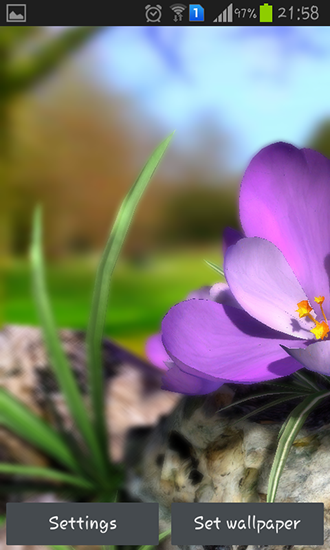 Nature live: Spring flowers 3D - бесплатно скачать живые обои на Андроид телефон или планшет.