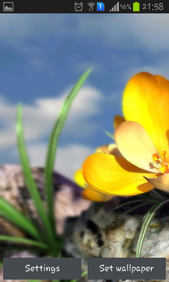 Скриншот Nature live: Spring flowers 3D. Скачать живые обои на Андроид планшеты и телефоны.