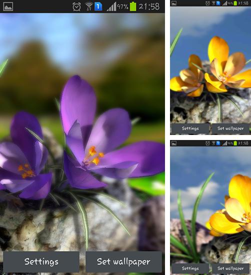 Kostenloses Android-Live Wallpaper Lebende Natur: Frühlingsblumen 3D. Vollversion der Android-apk-App Nature live: Spring flowers 3D für Tablets und Telefone.
