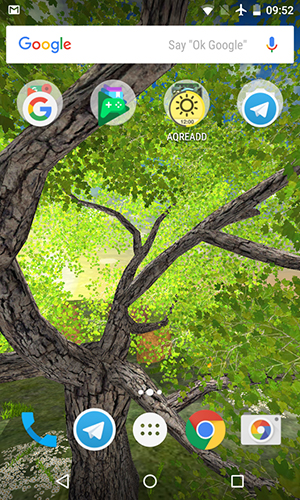 Nature tree - скачать бесплатно живые обои для Андроид на рабочий стол.