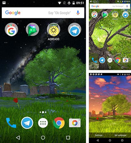 Android 搭載タブレット、携帯電話向けのライブ壁紙 ウィンター・ディア のほかにも、ネイチャー・ツリー、Nature tree も無料でダウンロードしていただくことができます。