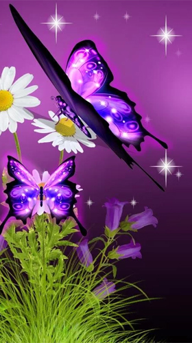 Kostenloses Android-Live Wallpaper Neon Schmetterling. Vollversion der Android-apk-App Neon butterfly 3D für Tablets und Telefone.