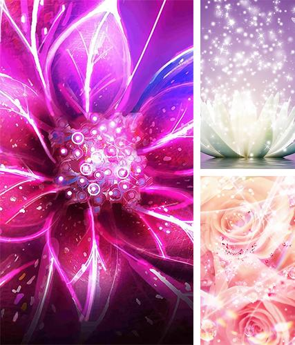 Descarga gratuita fondos de pantalla animados Flores de neón  para Android. Consigue la versión completa de la aplicación apk de Neon flowers by Art LWP para tabletas y teléfonos Android.