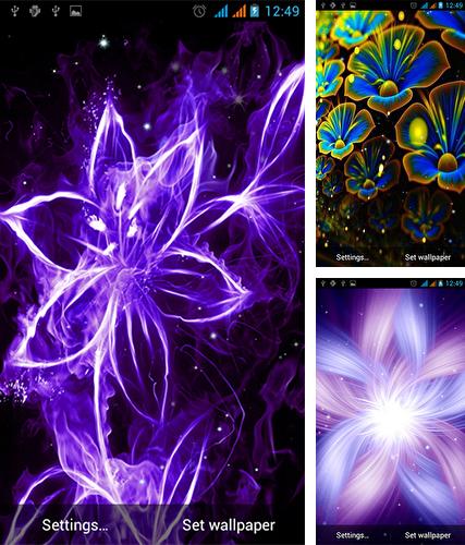 Descarga gratuita fondos de pantalla animados Flores de neón  para Android. Consigue la versión completa de la aplicación apk de Neon flowers by Live Wallpapers Gallery para tabletas y teléfonos Android.