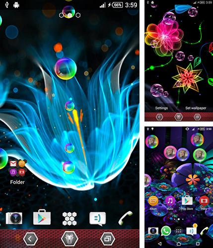 Дополнительно к живым обоям на Андроид телефоны и планшеты Тигры, вы можете также бесплатно скачать заставку Neon flowers by Next Live Wallpapers.