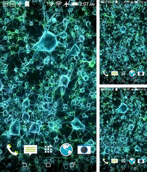 Kostenloses Android-Live Wallpaper Neuron. Vollversion der Android-apk-App Neuron für Tablets und Telefone.