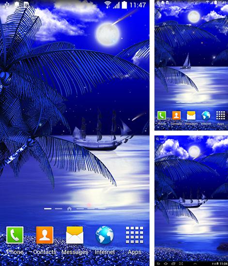Descarga gratuita fondos de pantalla animados Playa nocturna  para Android. Consigue la versión completa de la aplicación apk de Night beach para tabletas y teléfonos Android.