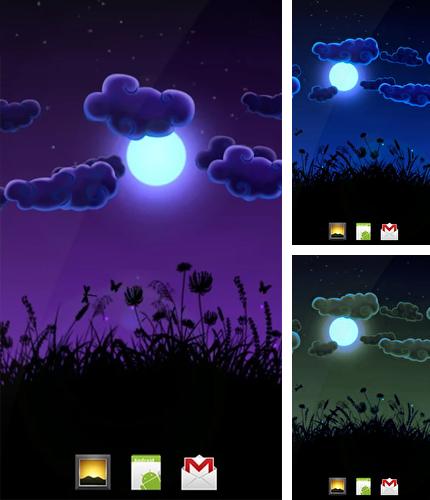 Kostenloses Android-Live Wallpaper Nchtliche Natur. Vollversion der Android-apk-App Night Nature für Tablets und Telefone.