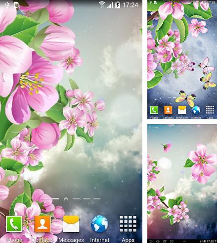 Kostenloses Android-Live Wallpaper Nacht Sakura. Vollversion der Android-apk-App Night sakura für Tablets und Telefone.