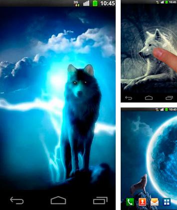 Night wolves - бесплатно скачать живые обои на Андроид телефон или планшет.