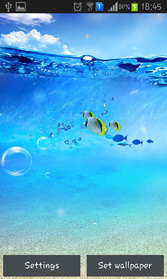 Ocean - бесплатно скачать живые обои на Андроид телефон или планшет.
